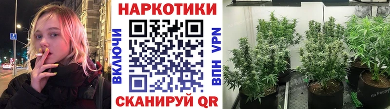 Где купить наркотики Невель NBOMe  Меф  гидра зеркало  Кокаин  А ПВП  ГАШ 